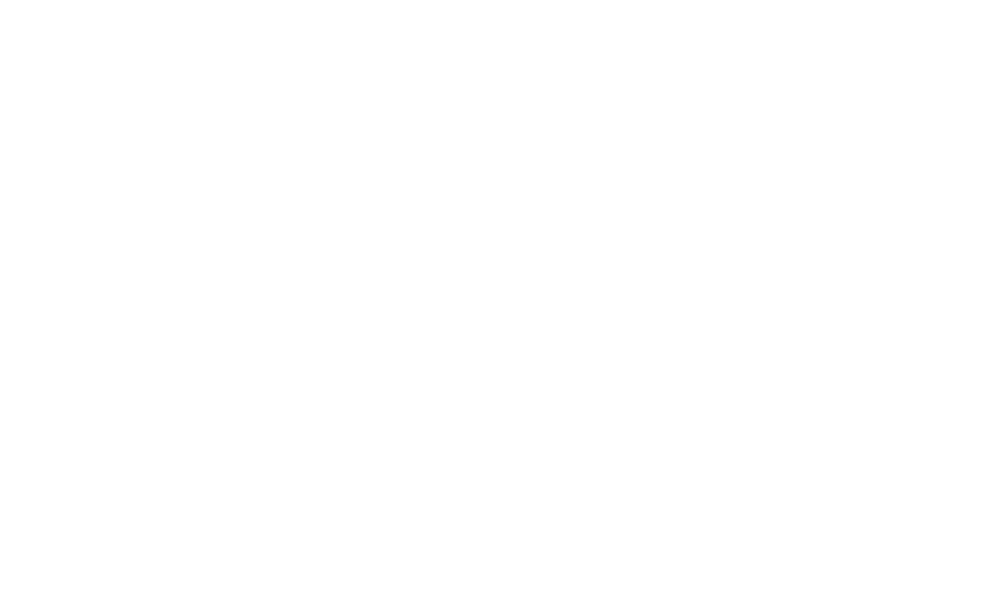 Finanswatch logo white (1)