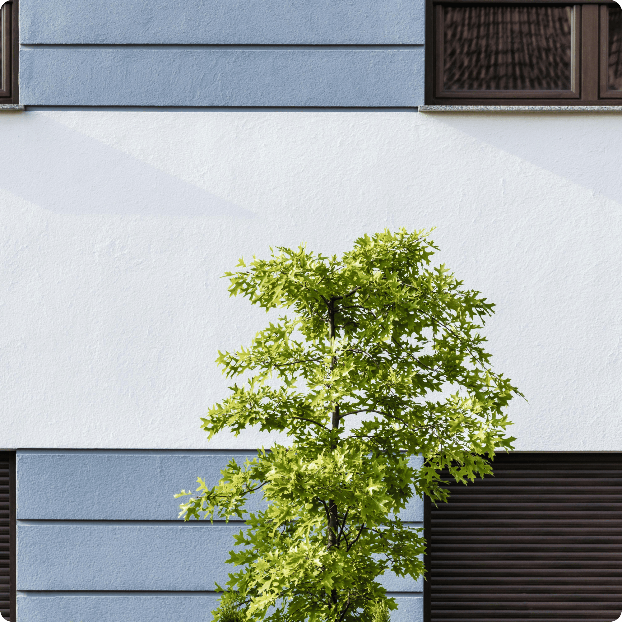 Green building (2)
